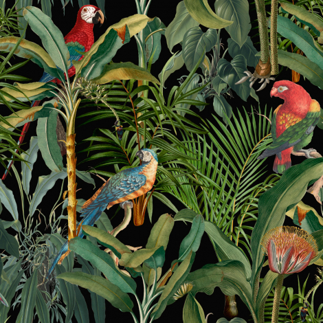 Beautiful Parrots HD wallpaper