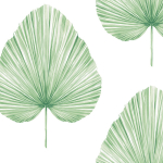 Today Interiors SAVANNAH GRASS LS61602-LS61604 LS61604 White background with light green palm leaves.