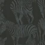 Dolce & Gabbana ZEBRA ROMANCE TCW007TCAHOUZ018 Deep charcoal and muted black stripes on a dark background