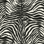 Dolce & Gabbana ZEBRA DOLCE TCW007TCAI9UZ003 Soft ivory background with subtle zebra stripes in ivory tones.