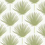 Today Interiors THE KEYS WTK201202-WTK21214 WTK21204 Soothing olive green fronds on a light beige background.