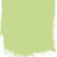 Designers Guild Mimosa leaf  no 101  perfect paint 