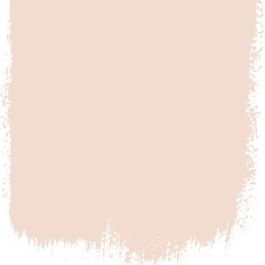 Pink salt no 160 perfect paint