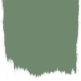 Herbarium  no 174  perfect paint  - Paints