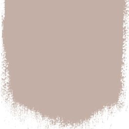 Pale birch no 24 perfect paint