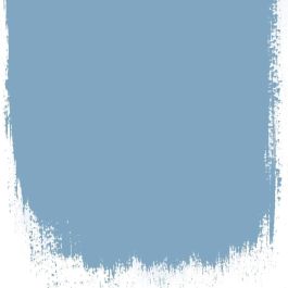 Borage flower blue no 46 perfect paint
