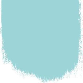 Aqua no 72 perfect paint