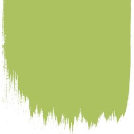 Green apple  no 95  perfect paint  - Paints