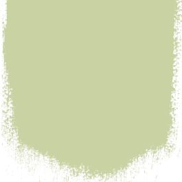 Thé vert  no 108  perfect  - Paints