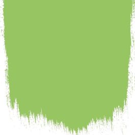 Tg green no 99 perfect paint
