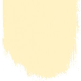 Custard cream no 117 perfect paint
