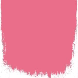 Island hibiscus  no 124  perfect paint  - Paints