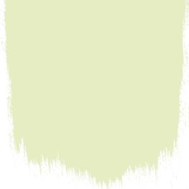 Williams pear no 111 perfect paint