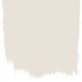 Silver birch no 13 perfect paint