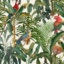 Parrots of Brasil - Multi Colour Wallpaper