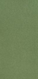 Chroma - Green Wallpaper