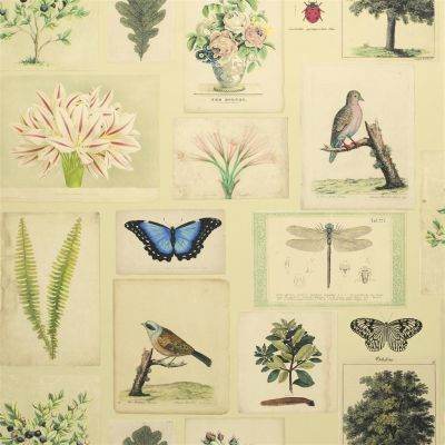 Flora and fauna