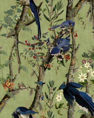 BIRDS OF DANUBE