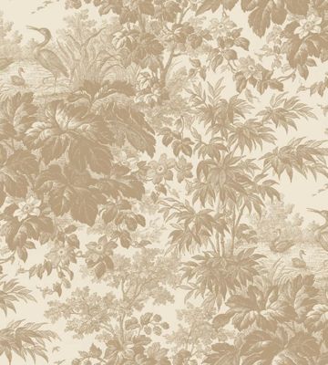 TOILE