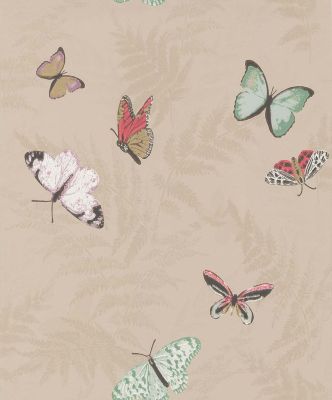 Farfalla
