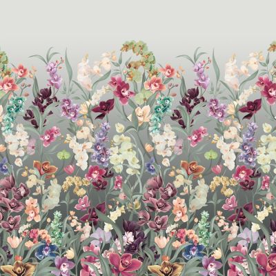 Wild Orchids