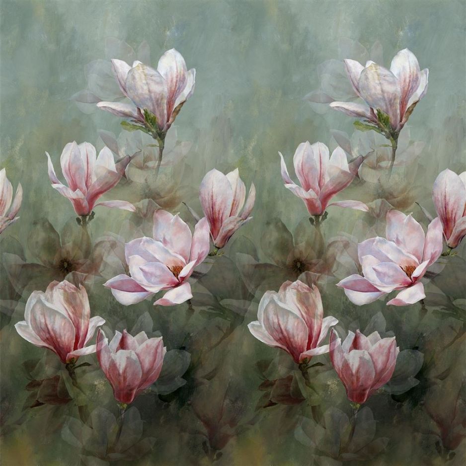 Yulan magnolia