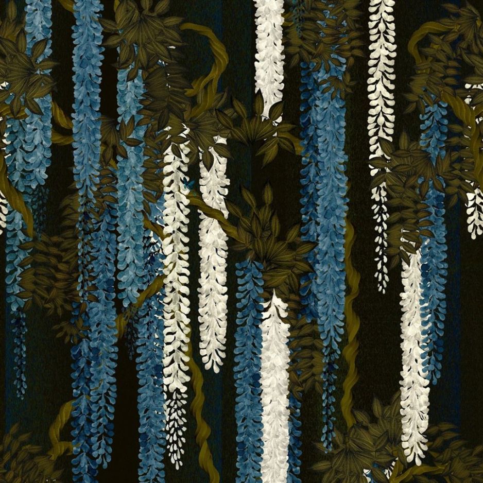 Wisteria alba