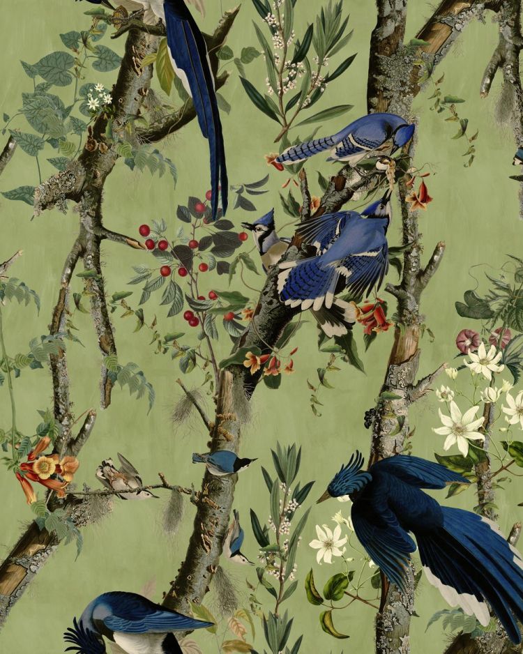 BIRDS OF DANUBE