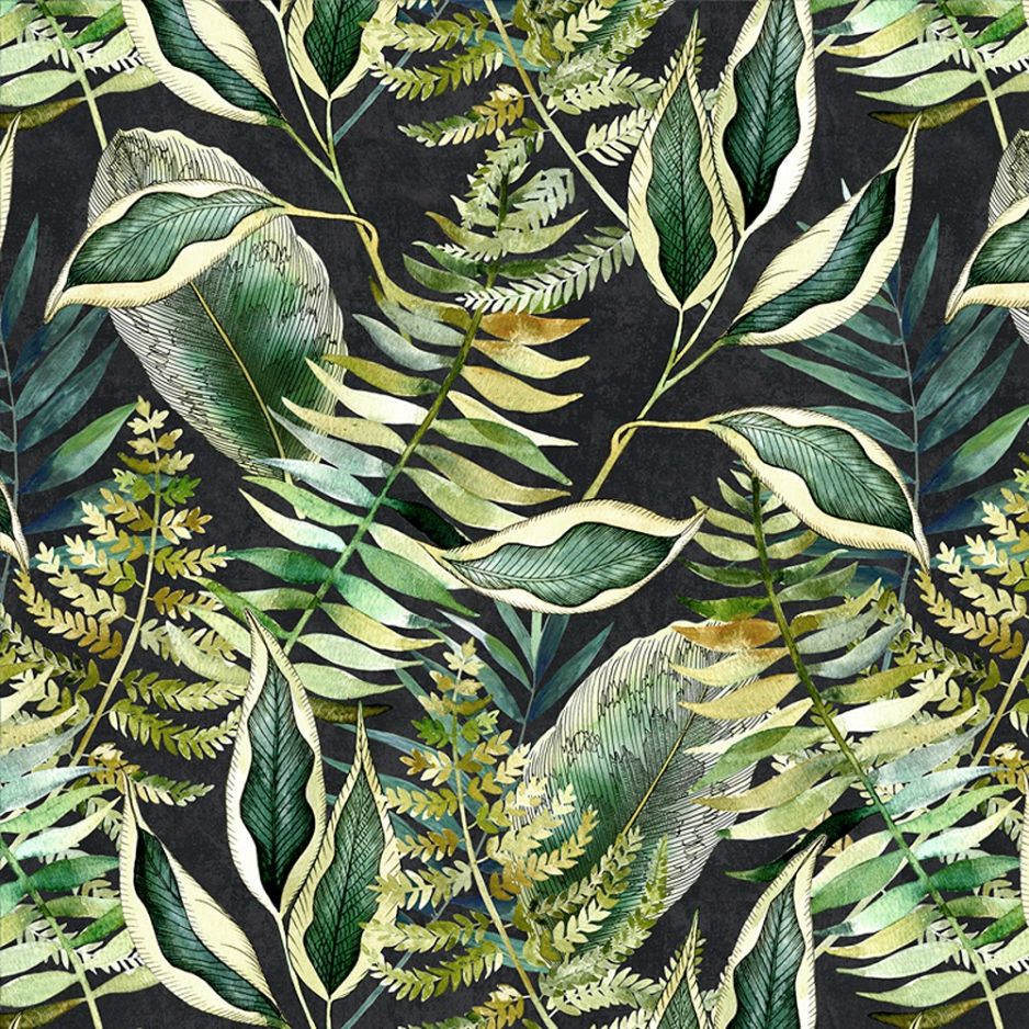 Dark Tropics