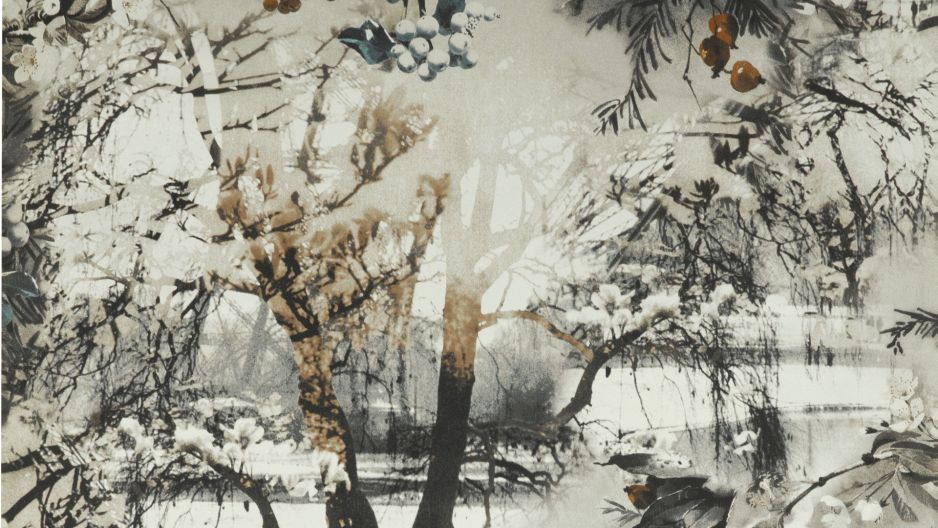 BRUME