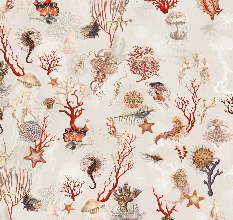 CORAIL