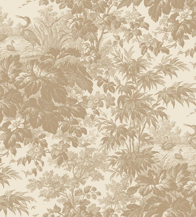 TOILE