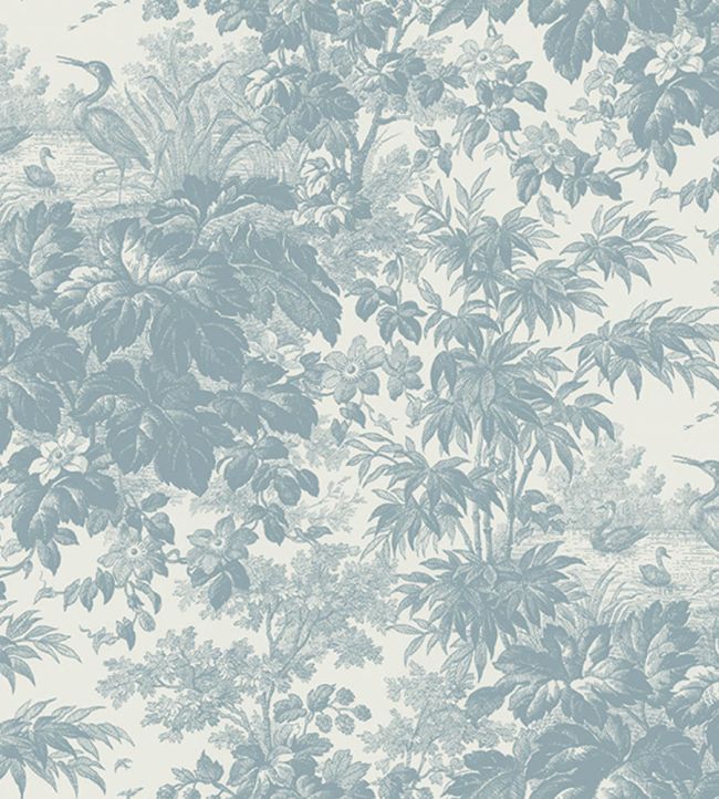 TOILE