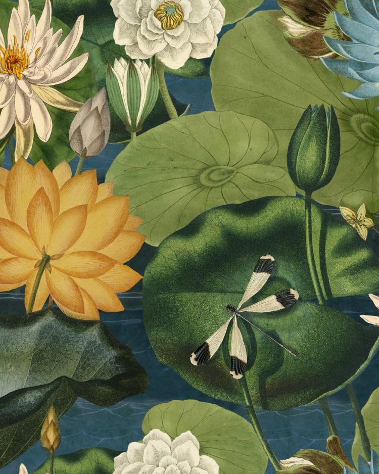 LOTUS BLOSSOM