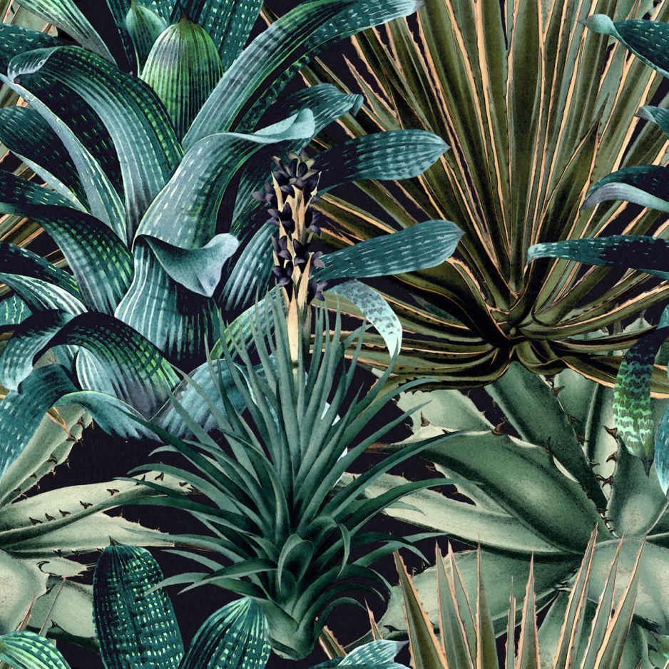 Lush Succulents