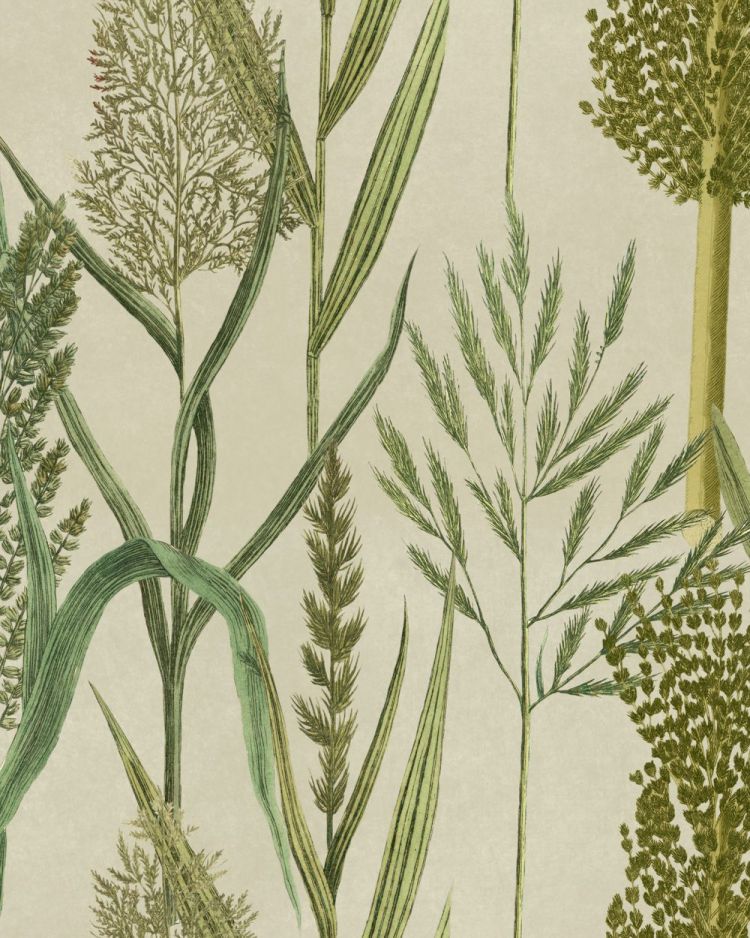 RIVERSIDE FLORA