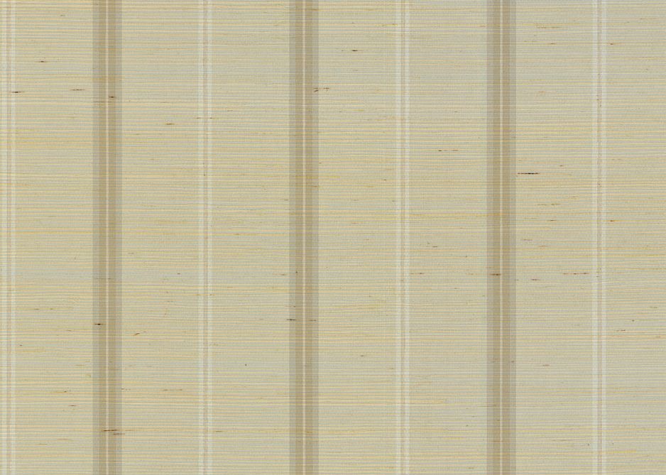 RAYURE Raffia