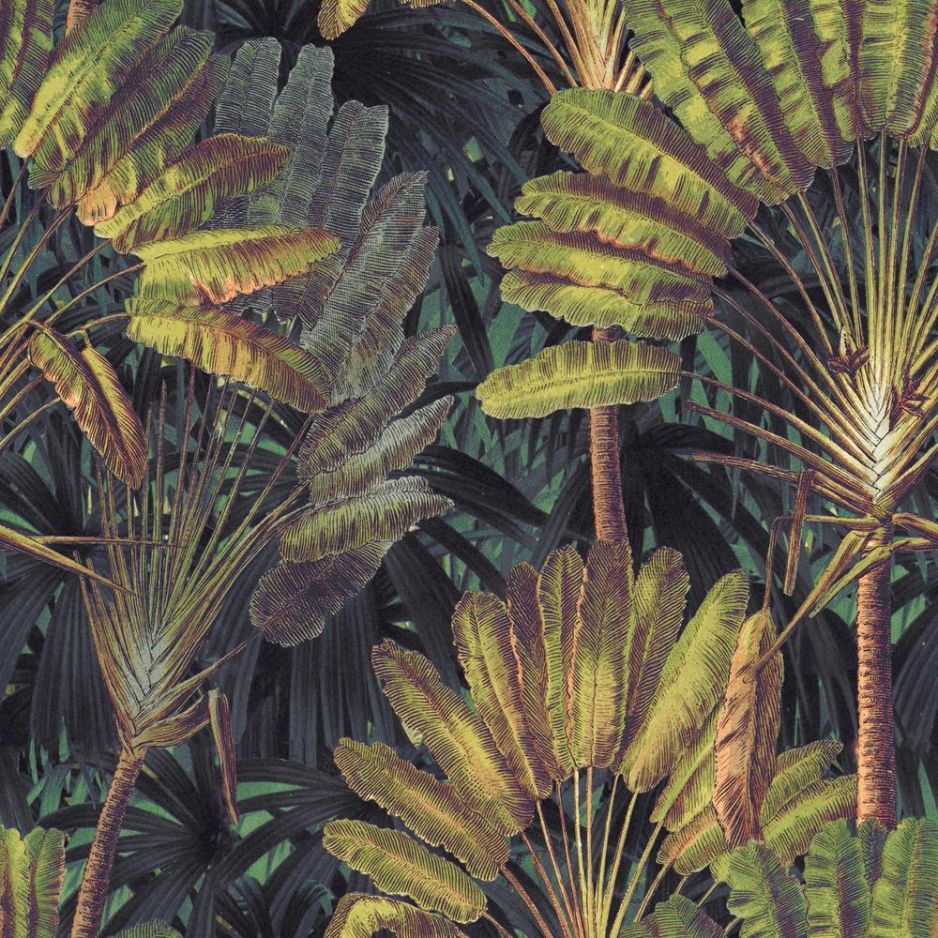 TRAVELLER'S PALM