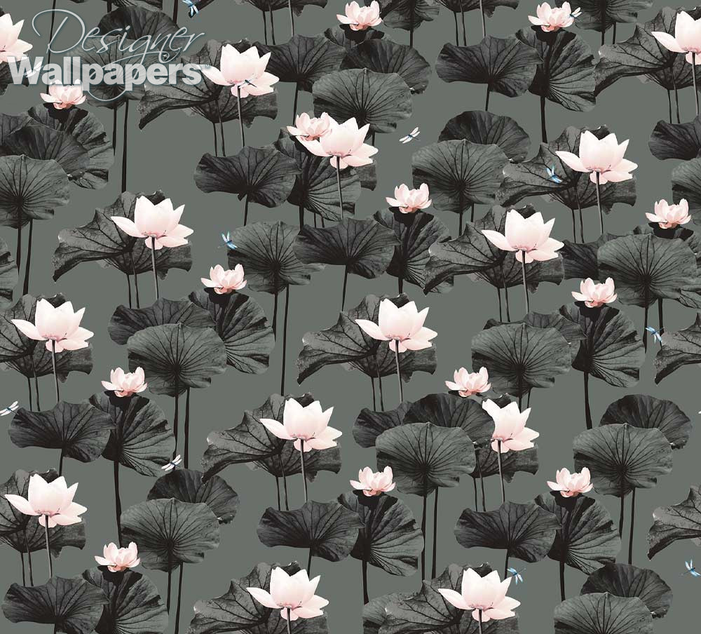 dark lotus wallpaper