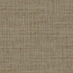 Today Interiors SAVANNAH GRASS LS61102-LS61117 LS61117 Taupe with a hint of warm grey.